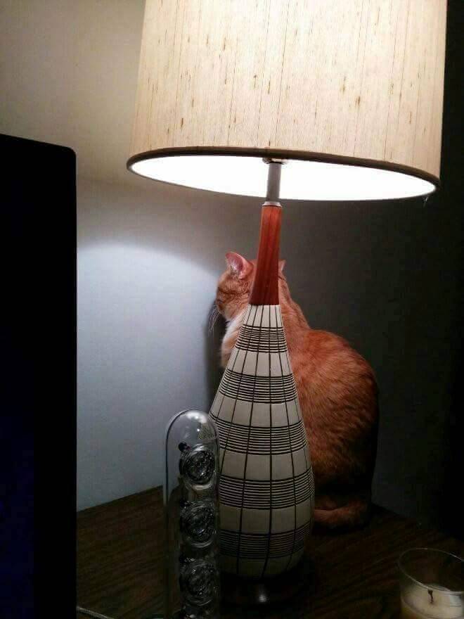 이성이 미세하게 이기는중 | 인스티즈