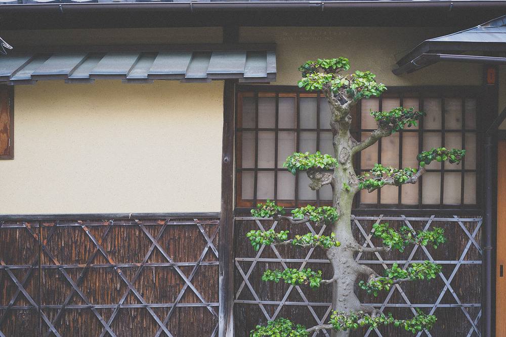 스냅사진 위주의 유치진지한 여행기 - 오사카&교토 (3) | 인스티즈