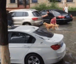 나도 밀개.gif | 인스티즈