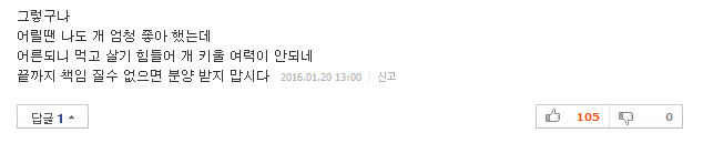 반려견이 당신을 사랑할 때 하는 행동 10가지 | 인스티즈