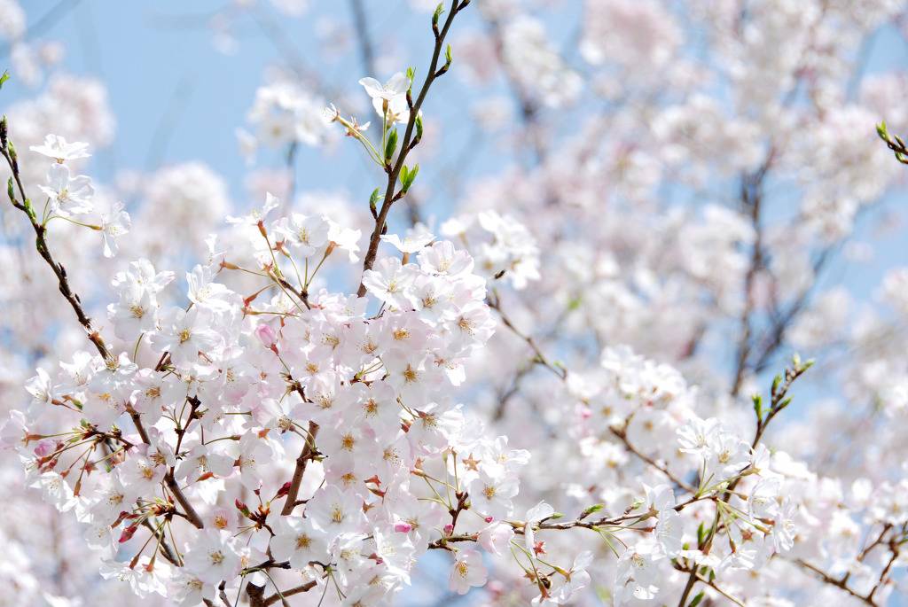 다들 이날은 여자친구랑.. | 인스티즈