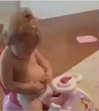 자신의 똥배를 보고 분노.gif | 인스티즈