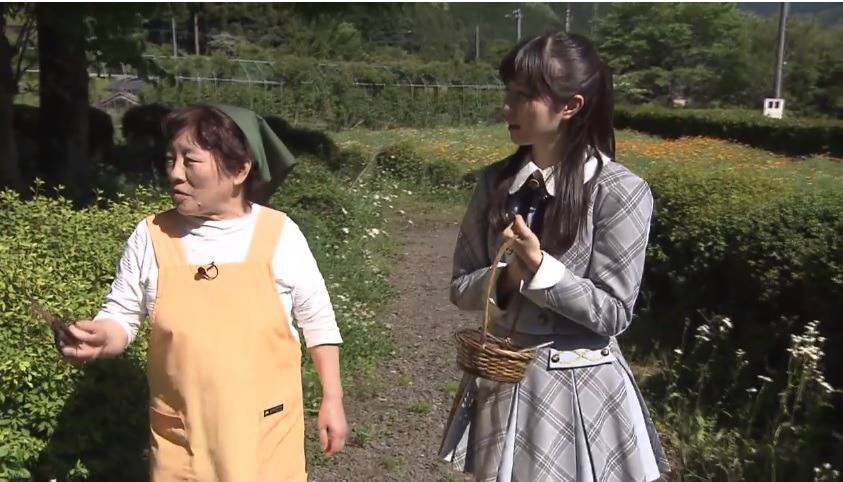 프로듀스48 열심히 사는 농어촌전형 혼다 히토미 | 인스티즈