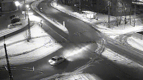 불곰국의 흔한 일상.gif | 인스티즈