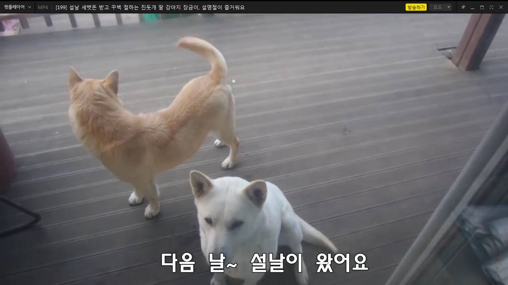 팟플레이어 기능인데 사람들이 모르고 잘 안쓰는 기능.jpg | 인스티즈