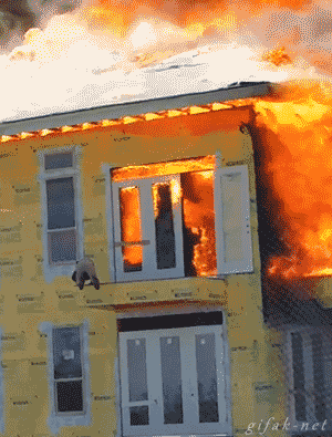 화재현장에서 탈출하는 사람.gif | 인스티즈