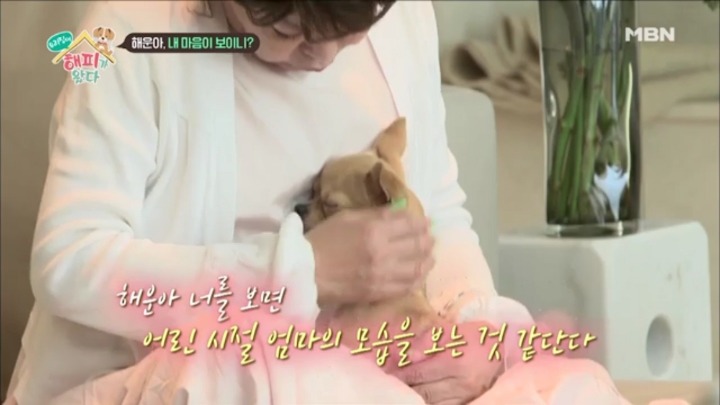 [우리집에해피가왔다] 졸린 척 하는 강아지 해운이.jpgif | 인스티즈