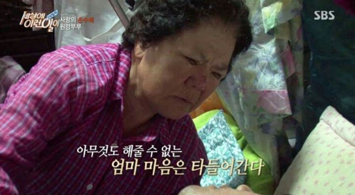 학교폭력 사라져야하는 이유 | 인스티즈