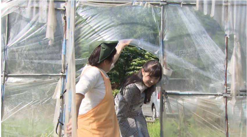 프로듀스48 열심히 사는 농어촌전형 혼다 히토미 | 인스티즈