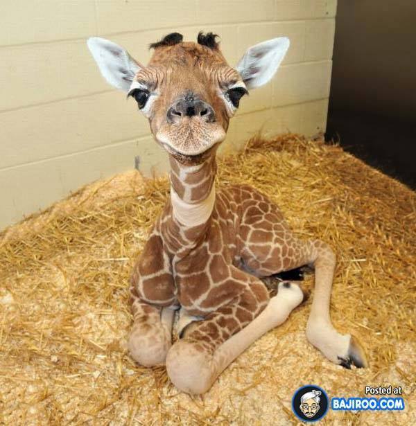 누구에게나 어린시절은 있다 | 인스티즈