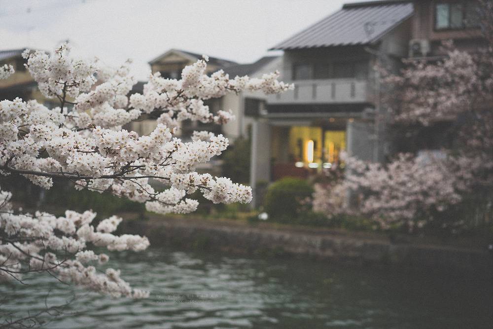 스냅사진 위주의 유치진지한 여행기 - 오사카&교토 (3) | 인스티즈