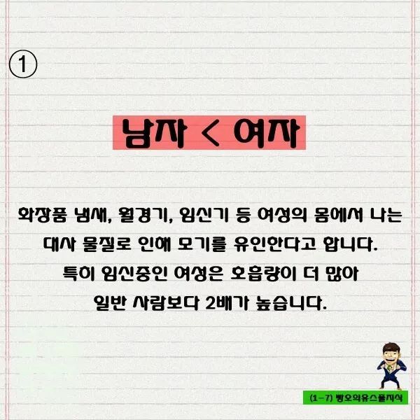 모기 잘물리는 사람들의 특징 | 인스티즈