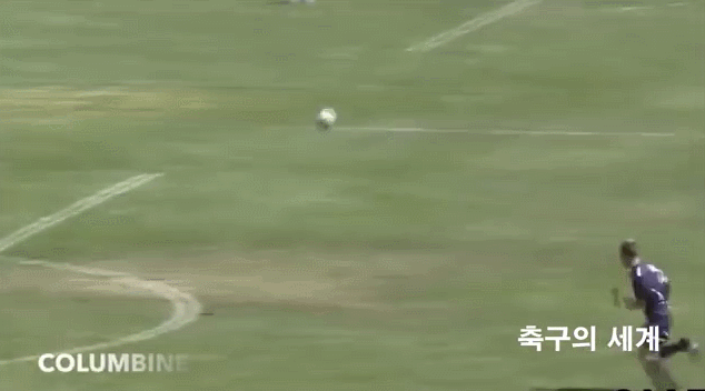 절묘한 개인기로 키퍼를 제끼고 골 | 인스티즈