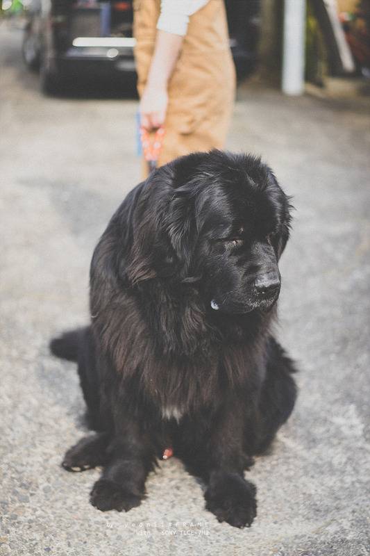 스냅사진 위주의 유치진지한 여행기 - 오사카&교토 (3) | 인스티즈