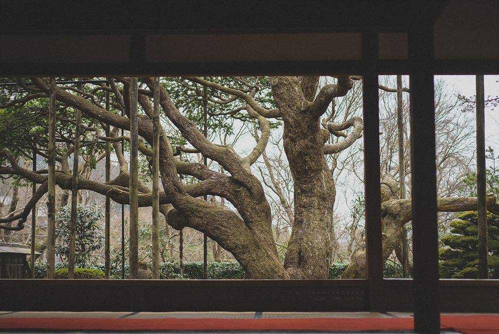 스냅사진 위주의 유치진지한 여행기 - 오사카&교토 (3) | 인스티즈