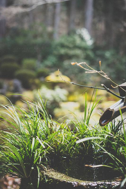 스냅사진 위주의 유치진지한 여행기 - 오사카&교토 (3) | 인스티즈