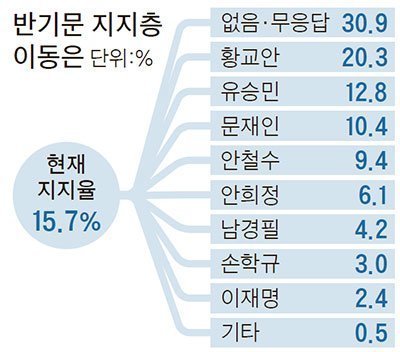 반기문표 중앙일보 조사 | 인스티즈
