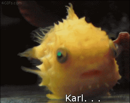 있잖아... 넌... 사실..... 물고기야...gif | 인스티즈