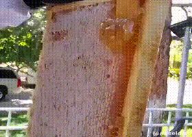 임대료 걷어가는 건물주.gif | 인스티즈