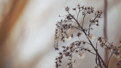  사랑은 끝이 없다네 | 인스티즈