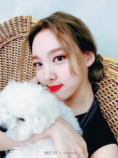 강아지보다 더 귀여운 나연이 | 인스티즈