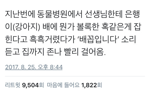 처음 동물 키우는 사람 공감물 | 인스티즈