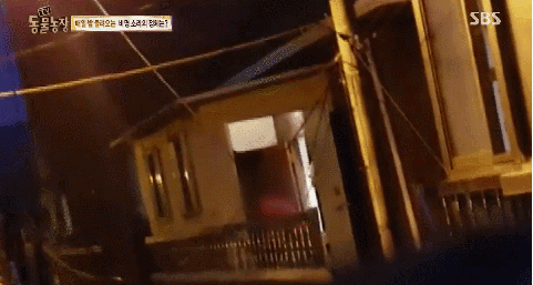 이유없는 강아지 학대 | 인스티즈