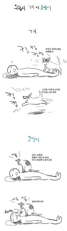 사람이 위급할 때 개와 고양이의 반응 | 인스티즈