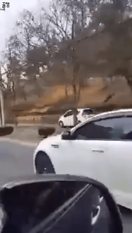 같은운전자로써 도저히 이해할수가 없는 마티즈운전자... | 인스티즈