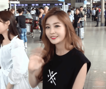 소나무 인천공항 대만 출국 움짤 | 인스티즈
