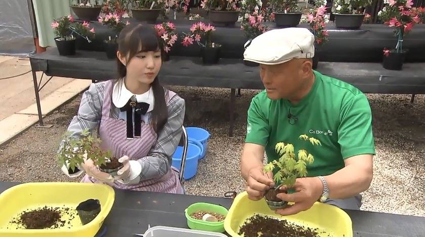 프로듀스48 열심히 사는 농어촌전형 혼다 히토미 | 인스티즈