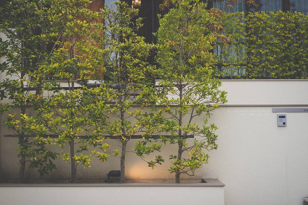 스냅사진 위주의 유치진지한 여행기 - 오사카&교토 (3) | 인스티즈