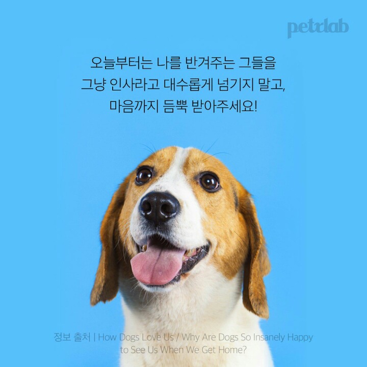 강아지는 왜 이렇게 나를 반길까?.jpgif | 인스티즈