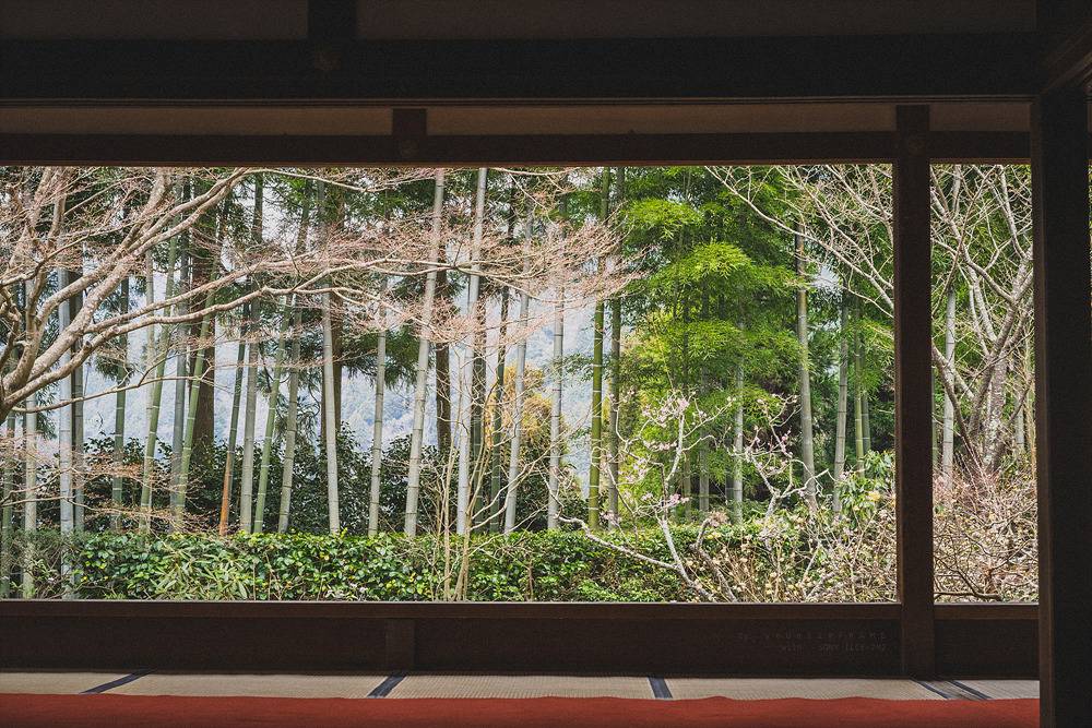 스냅사진 위주의 유치진지한 여행기 - 오사카&교토 (3) | 인스티즈