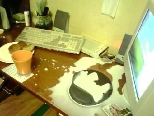 우유가 넘어지면 하는 말은?.jpg | 인스티즈