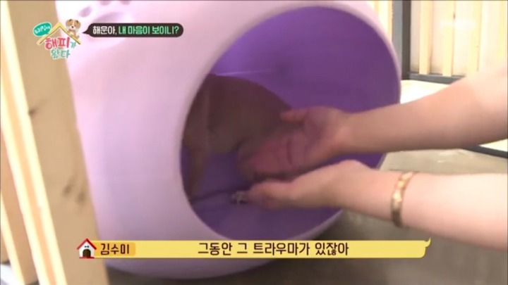 [우리집에해피가왔다] 졸린 척 하는 강아지 해운이.jpgif | 인스티즈