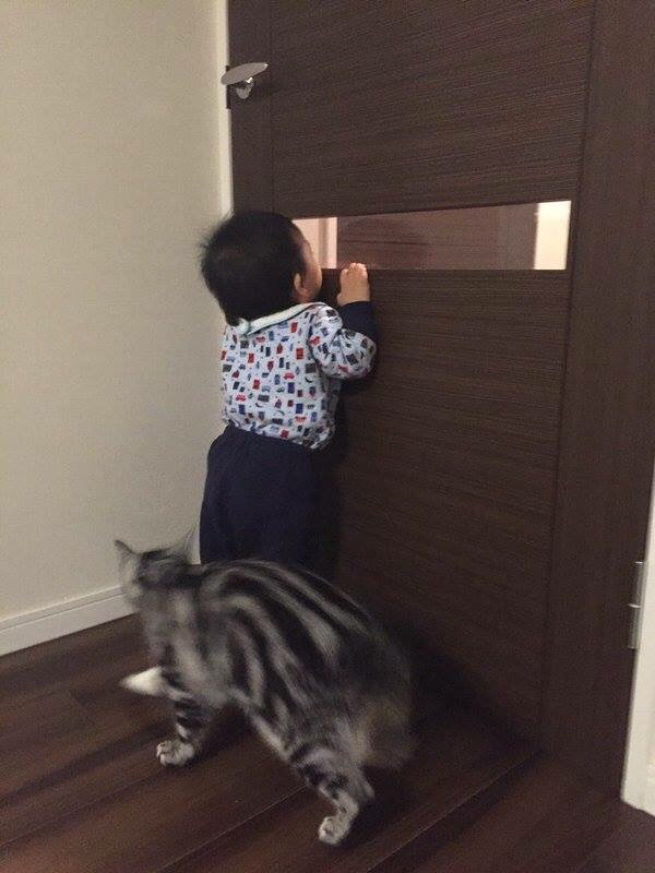 같이보자냥~!! | 인스티즈