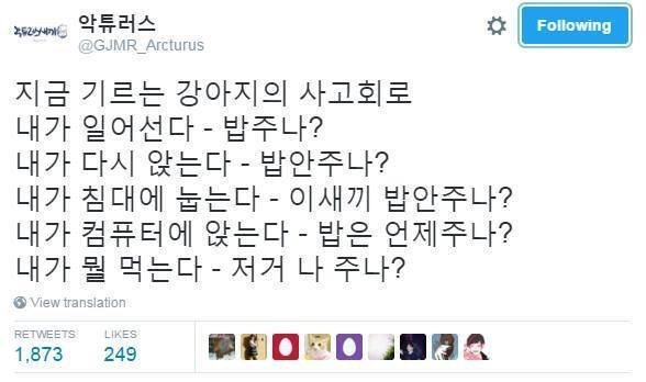 강아지 사고과정.jpg | 인스티즈