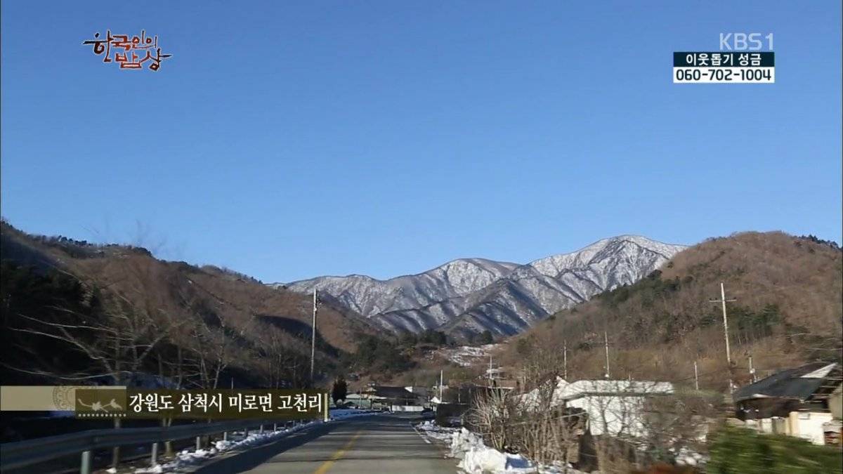 숯불로 해먹는 음식 좋아하시나요?.jpg | 인스티즈