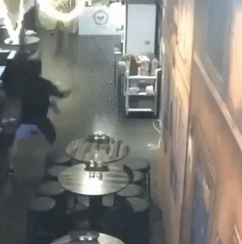 사장님이 맡기고 간 강아지와 영혼이 바뀌어버린 나?! | 인스티즈