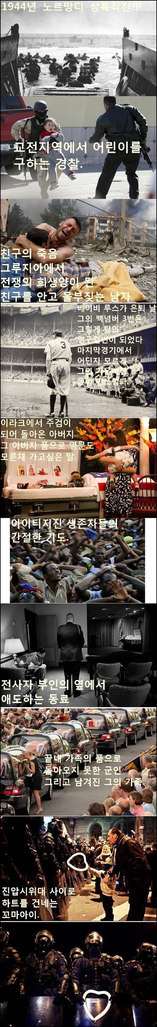 말로는 형언하기 힘든 사진 속 순간의 뭉클한 감정 45선.Jpeg | 인스티즈