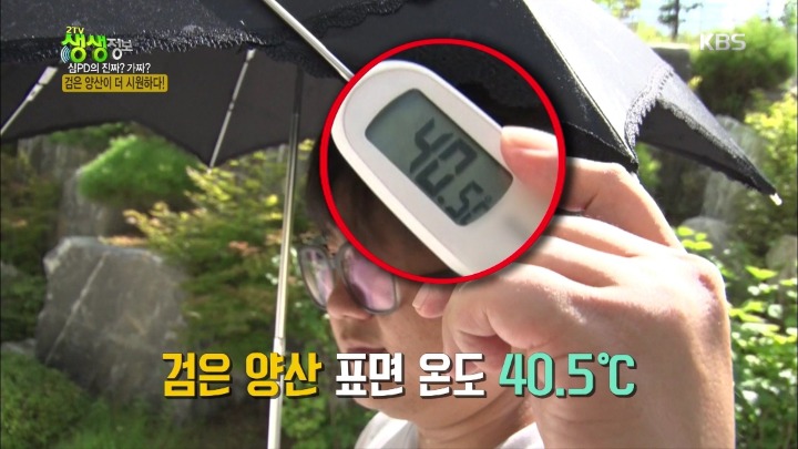 검은 양산이 더 시원하다? | 인스티즈