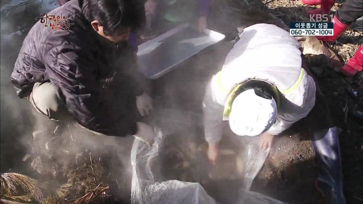 숯불로 해먹는 음식 좋아하시나요?.jpg | 인스티즈