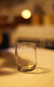 그냥 보고만 있어도 스트레스가 풀림.jpg | 인스티즈