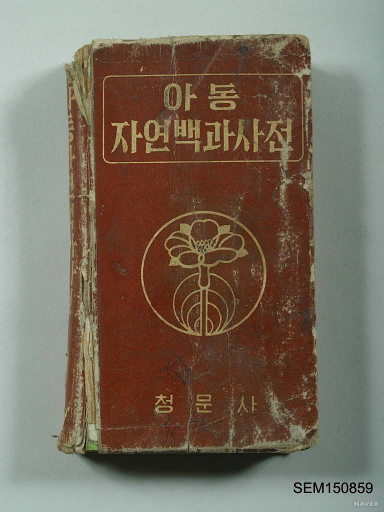 우리나라 전중에 甲은? | 인스티즈