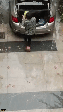 맛있는 수박 기대된다 예~ | 인스티즈