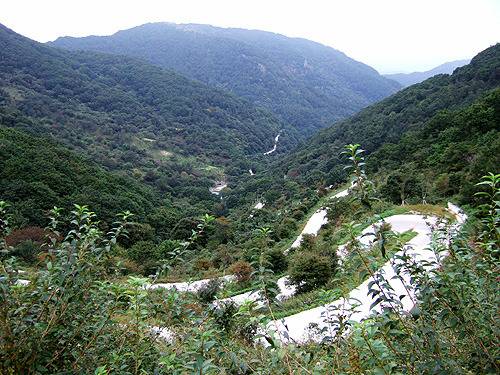 대한민국 최고의 드라이브코스들 총망라 | 인스티즈