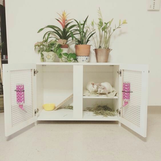 예쁜 토끼장과 토끼용품들 | 인스티즈