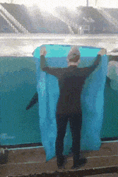 월요일 아침에 오하영.gif | 인스티즈