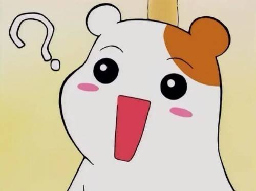 놀이기구 탈 때 서로 신기해하는거.jpg | 인스티즈